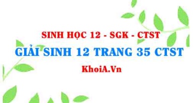 Giải Sinh 12 trang 35 Chân trời Sáng tạo